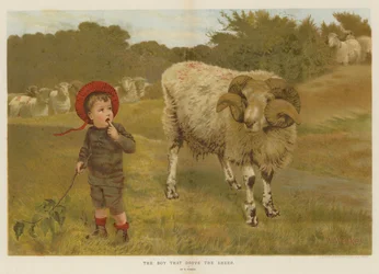 De jongen die de schapen dreef